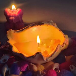 Concrete Sea Shell Candle